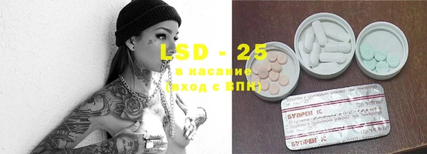 крисы Алзамай