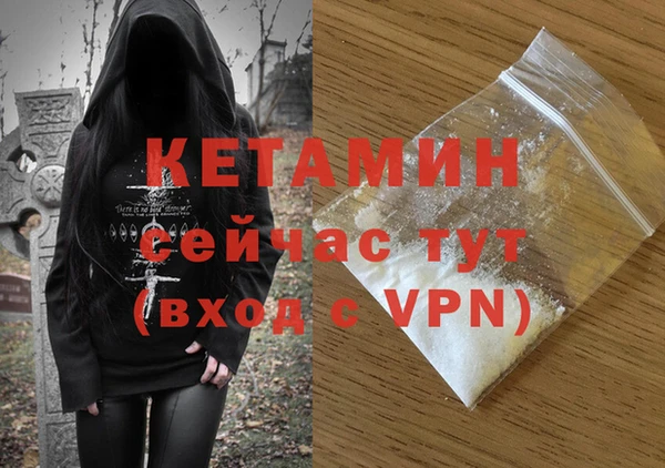 крисы Алзамай