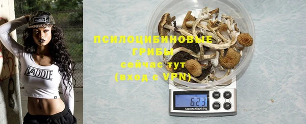 кокс Алексин