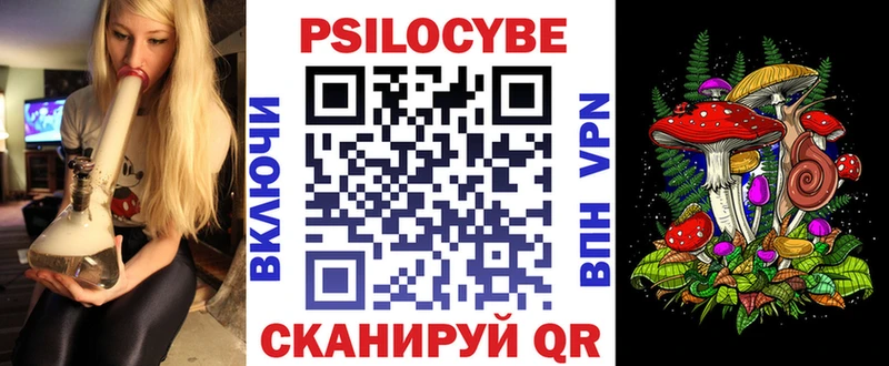 Псилоцибиновые грибы Psilocybine cubensis  Дубна 